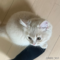 オンライン見学