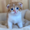 オンライン見学