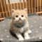 オンライン見学
