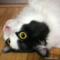 オンライン見学