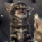 オンライン見学