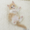 オンライン見学