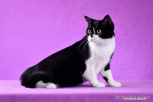 エマちゃん1枚目