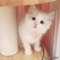 オンライン見学