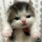 オンライン見学