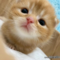 オンライン見学