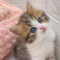 オンライン見学