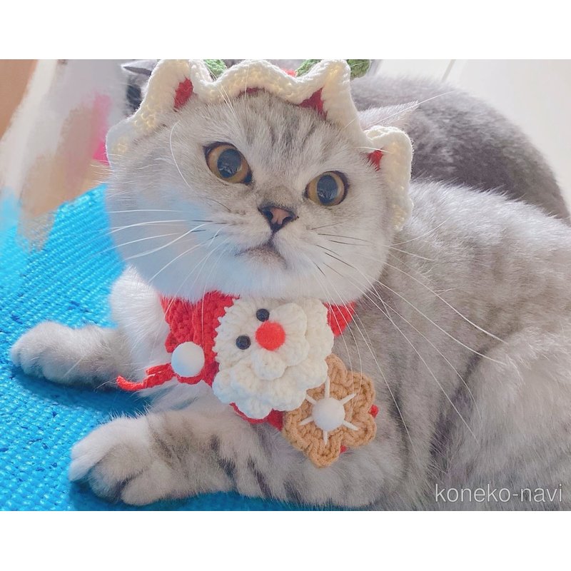 ちゃん1枚目