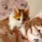 オンライン見学