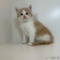 オンライン見学