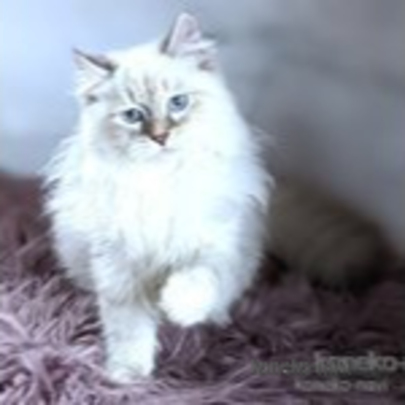ベックくん1枚目
