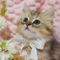 オンライン見学