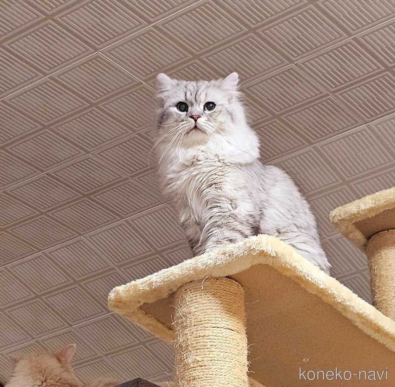 ナラくん1枚目