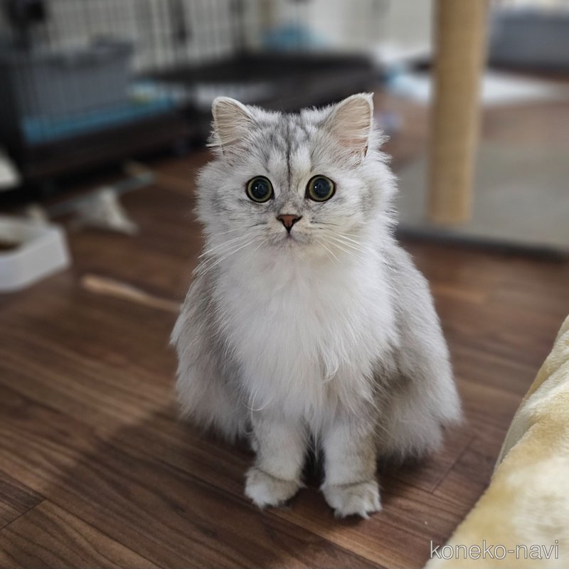 紅ちゃん1枚目