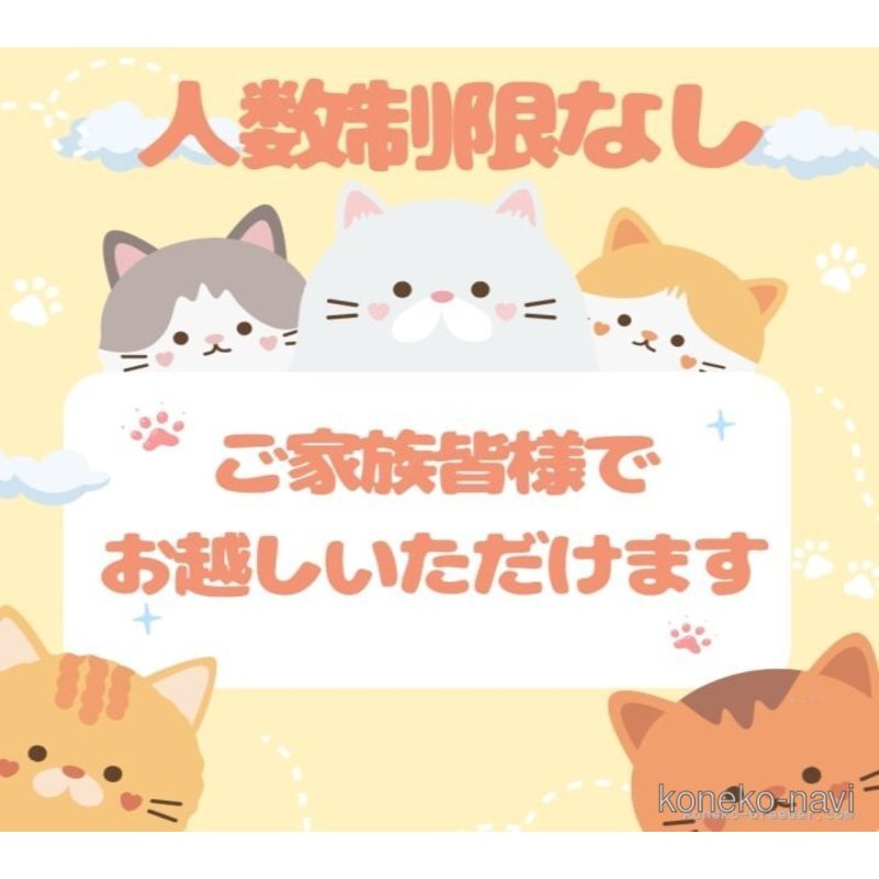 販売中の千葉県のミヌエット(短足)-122393の2枚目