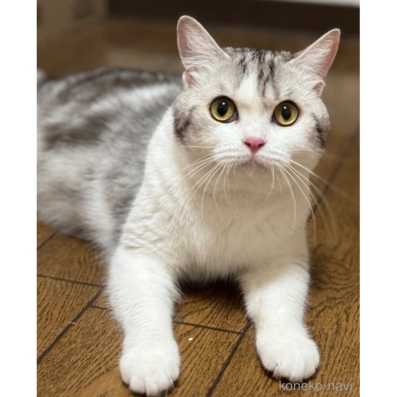 ちゃん1枚目