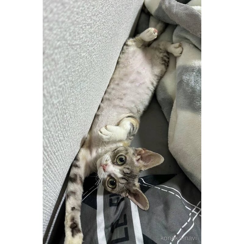 camelliaちゃん1枚目