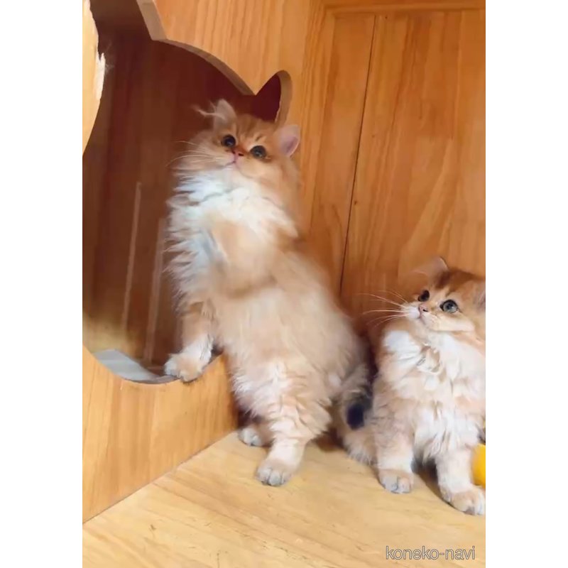 ちゃん1枚目