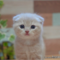 オンライン見学