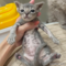 オンライン見学