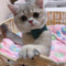オンライン見学