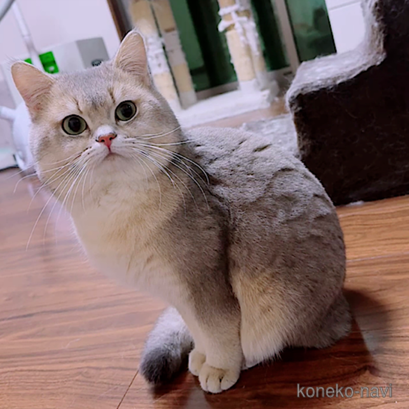 ガブリエルくん1枚目