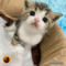 オンライン見学