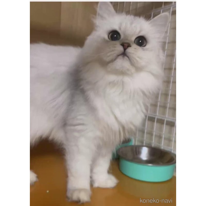 lalaちゃん1枚目