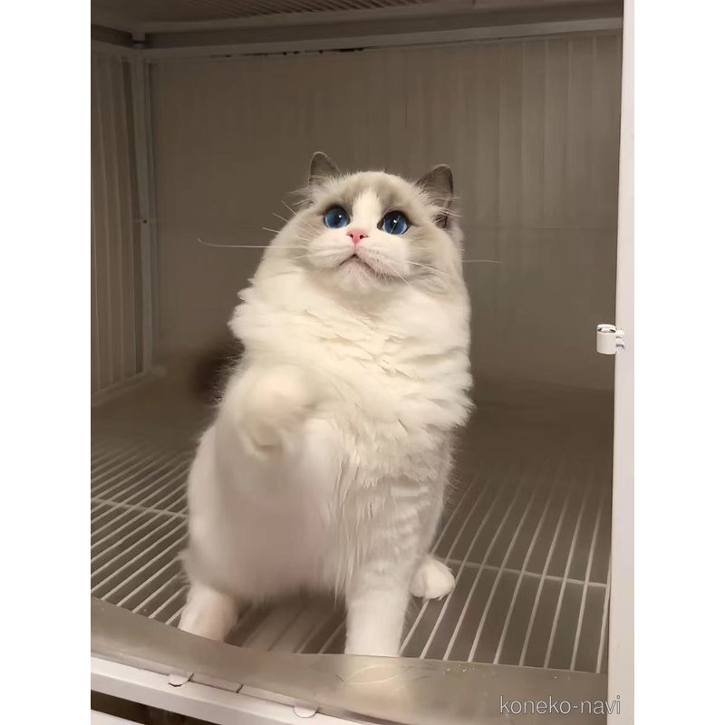 ちゃん1枚目