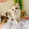 オンライン見学