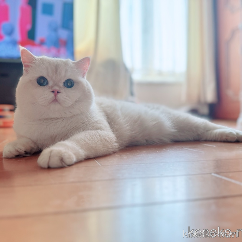 くん1枚目
