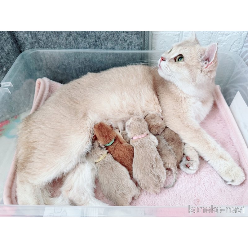 ちゃん1枚目