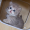 オンライン見学
