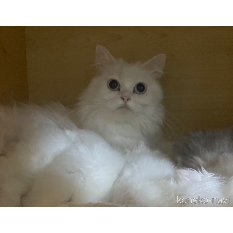 ちゃん1枚目