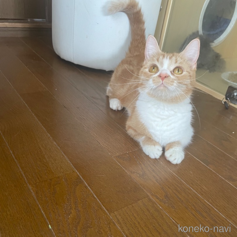 ちゃん1枚目
