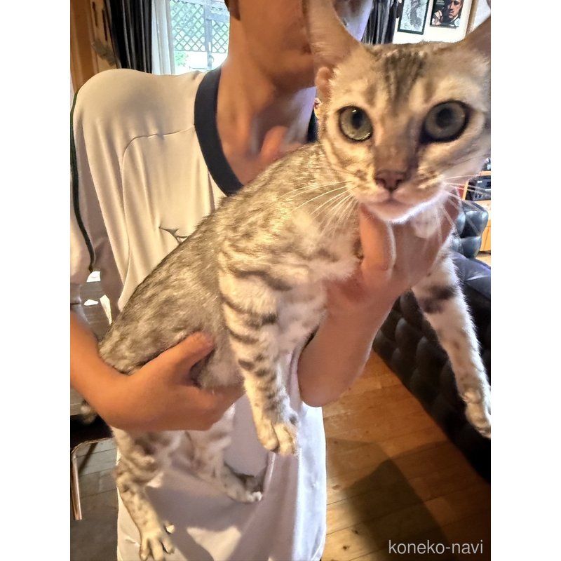 ユキちゃん1枚目