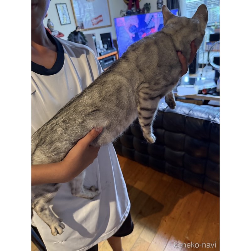 ユキちゃん1枚目