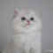 オンライン見学