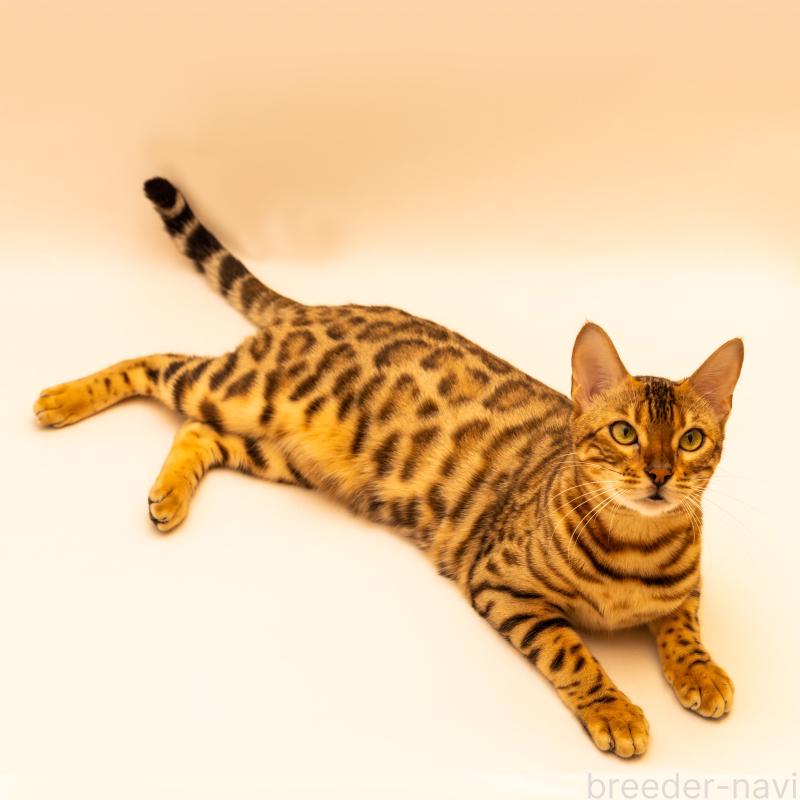 マギーちゃん1枚目