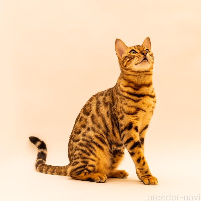 マギーちゃん1枚目