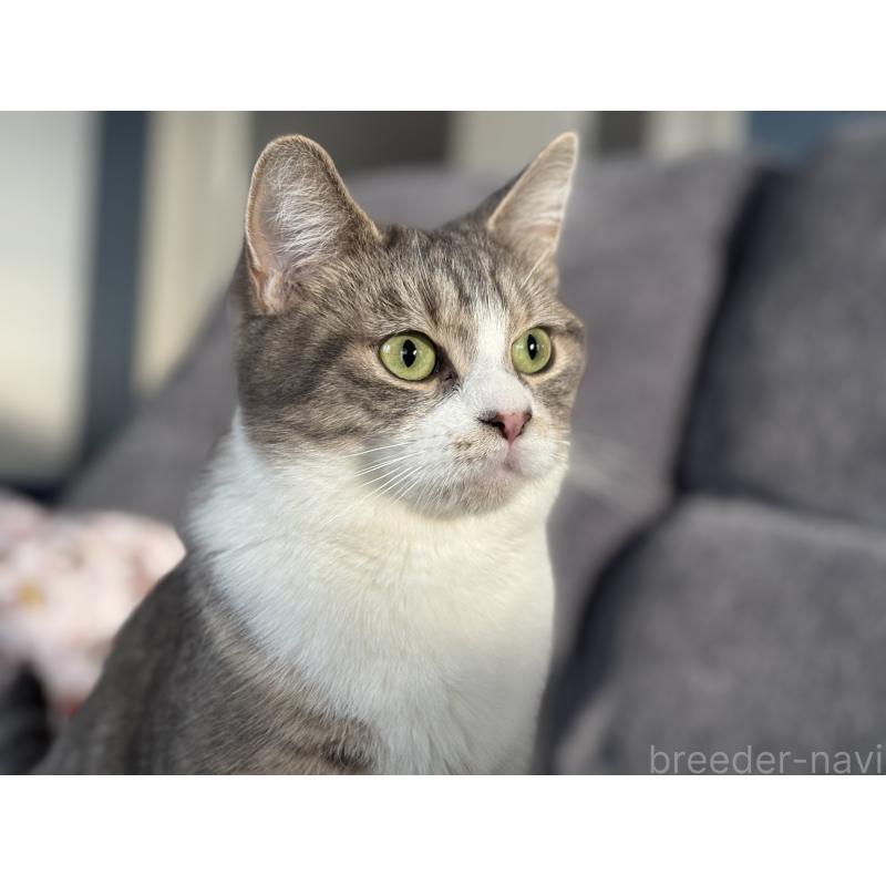 ラムちゃん1枚目