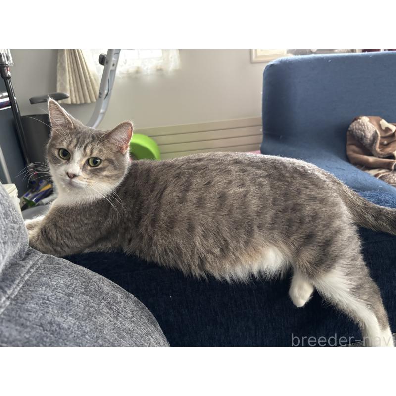 ラムちゃん1枚目