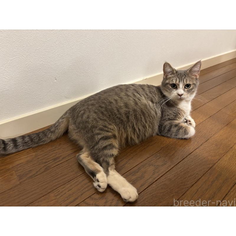 ラムちゃん1枚目