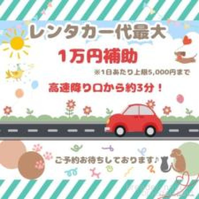 販売中の千葉県のノルウェージャンフォレストキャット-124193の10枚目