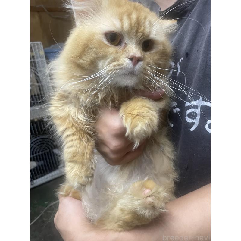 ヘンリーくん1枚目