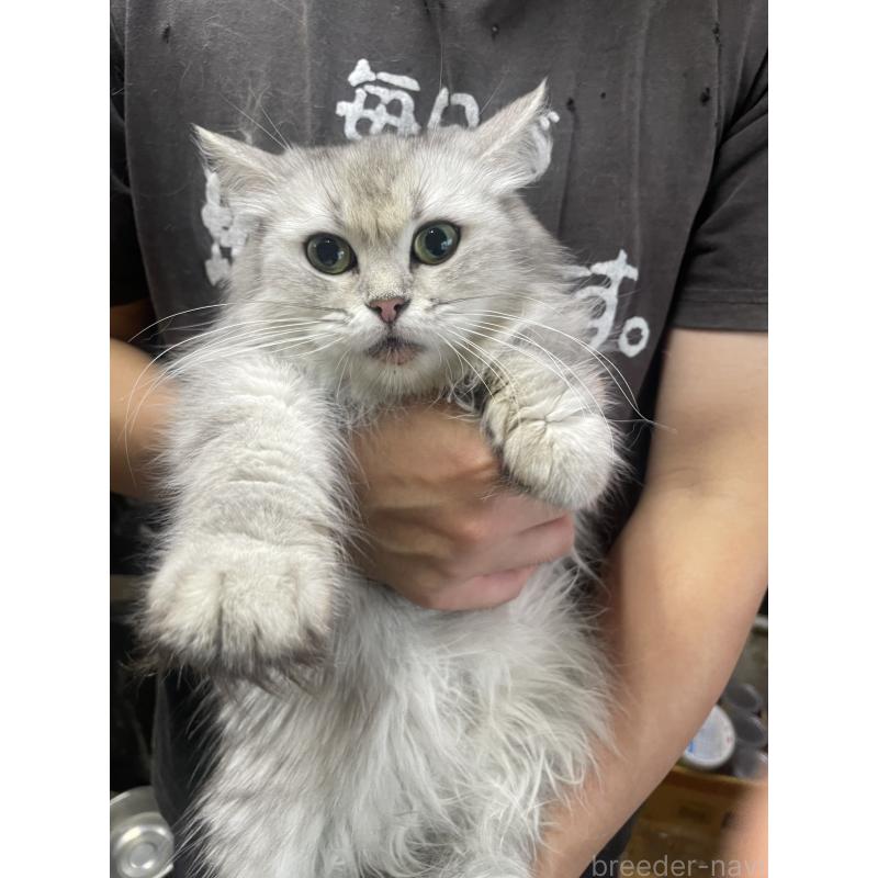 あやめちゃん1枚目