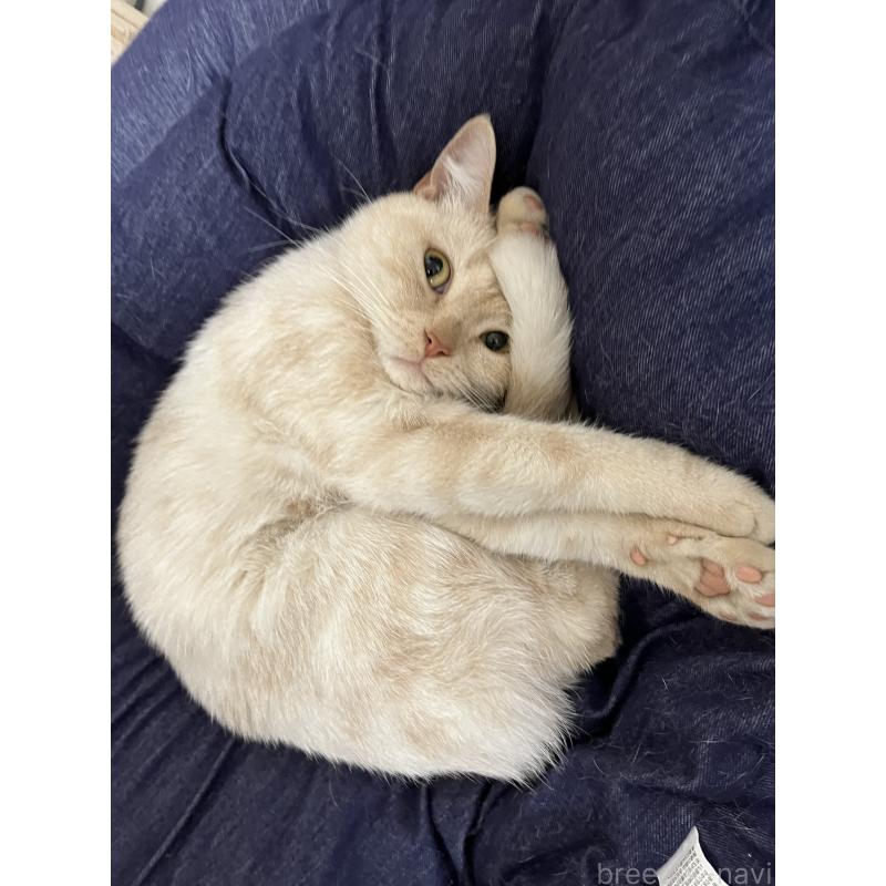 デールちゃん1枚目