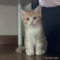 オンライン見学