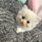 オンライン見学
