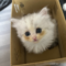 オンライン見学